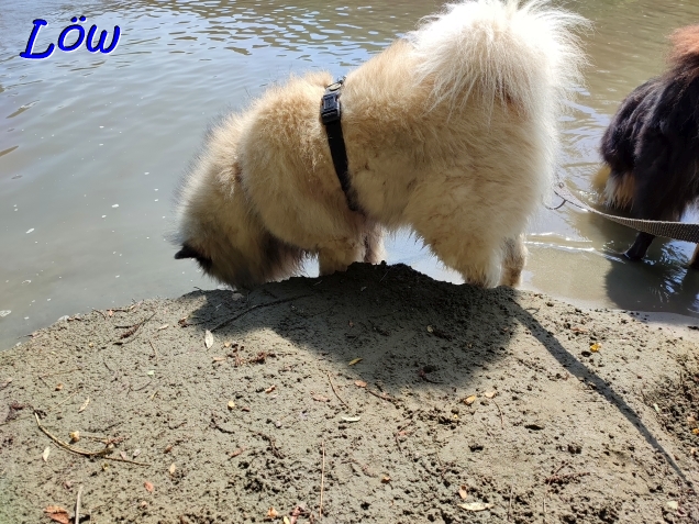 17.8.2024 -  Der Ruf des Wassers